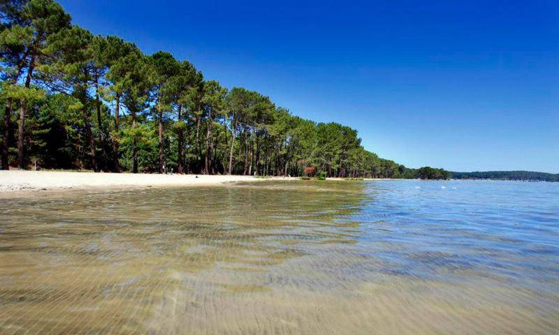 CONSTRUCTEUR 33 MAISON NEUVE TERRAIN A VENDRE BELIN BELIET SALLES LE BARP HOSTENS MIOS MARCHEPRIME LUGOS SAUGNACQ ET MURET SANGUINET 100M² 90M² 110M² MAISON EN L LA TESTE DE BUCH ARCACHON BASSIN GUJAN MESTRAS GASTES PARENTIS BISCAROSSES MIMIZAN YCHOUX SAN