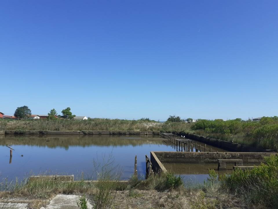 BASSIN D ARCHACHON GUJAN MESTRAS PROCHE LA HUME TERRAIN VUE BASSIN