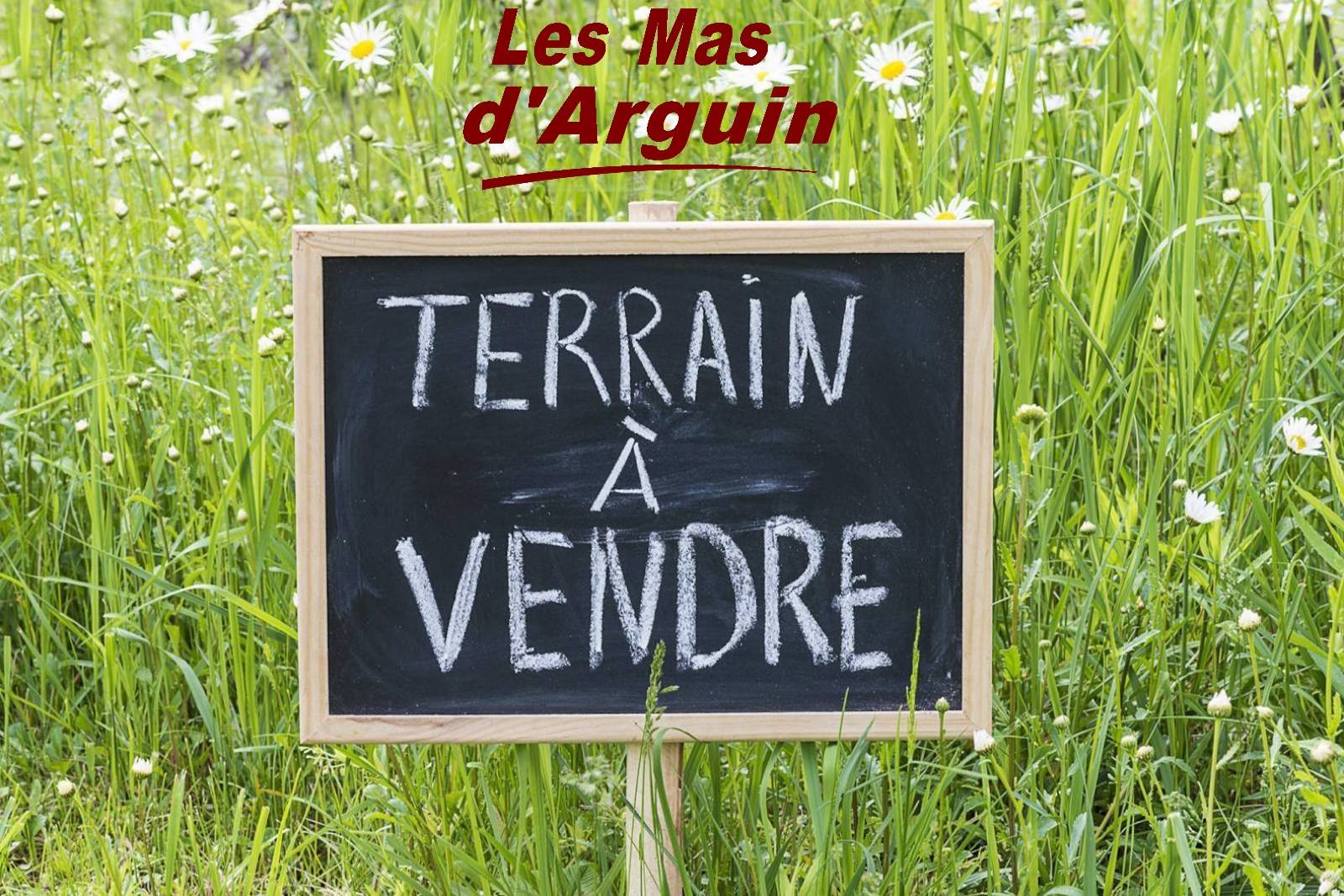 Gastes parentis Ychoux constructeur de maisons individuelles nord des landes lac océan biscarrosse les mas d'arguin maison contemporaine arcachonnaise landaise