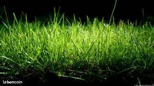 Terrain Moustey Landes construction Maison individuelle Les Mas d'Arguin