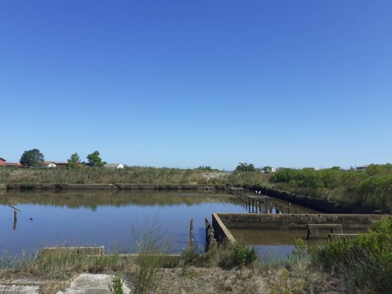 BASSIN D ARCHACHON GUJAN MESTRAS PROCHE LA HUME TERRAIN VUE BASSIN