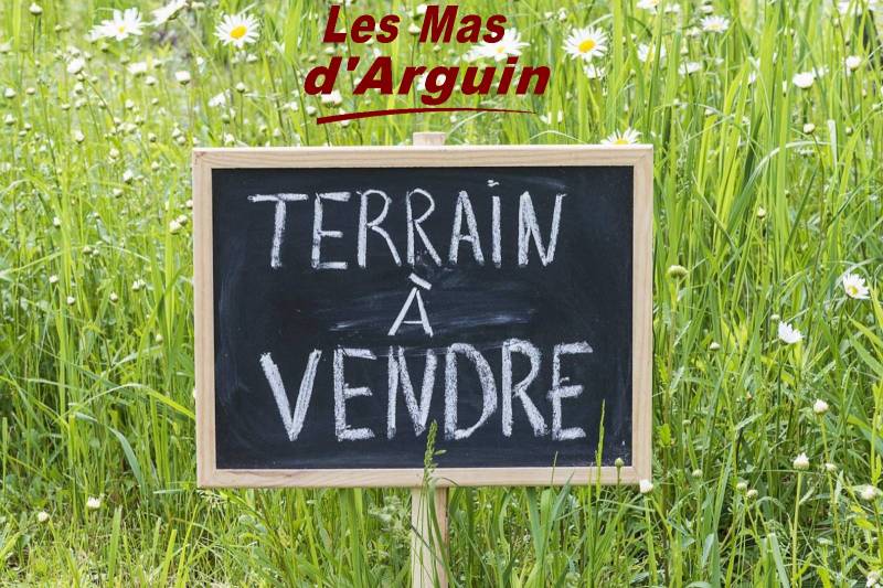 Gastes parentis Ychoux constructeur de maisons individuelles nord des landes lac océan biscarrosse les mas d'arguin maison contemporaine arcachonnaise landaise