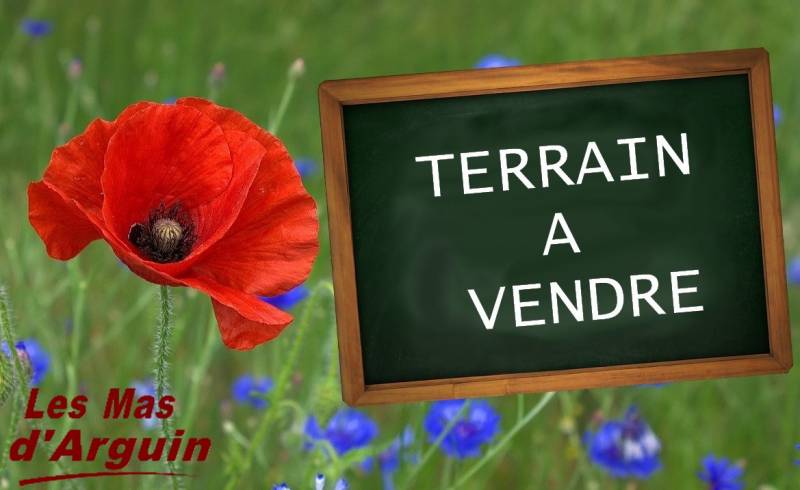 le teich, maison, villa, terrain, arcachon, bassin, gironde, nouvelle aquitaine, forêt, la teste de buch