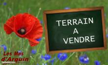 Terrain, Audenge, maison neuve, maison individuelle, construction, constructeur, pavillon, villa, demeure, piscine, viabilisé, viabilisation, Bassin d’Arcachon, Lanton, Andernos, Andernos-les-Bains, Arcachon, Gujan-Mestras, Le Teich, La Teste-de-buch, La