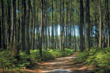 GASTES - Maison 90m²