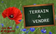 terrain gironde bordeaux ayguemeorte-les-graves moderne calme nature gironde