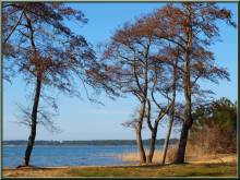 bassin d'arcachon villa maison gastes parentis en born biscarosse landes
